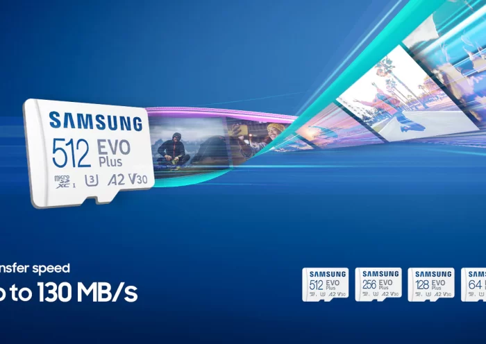 MicroSD Samsung Evo PLUS